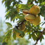 7 alimente esențiale pe care trebuie să le consumi azi