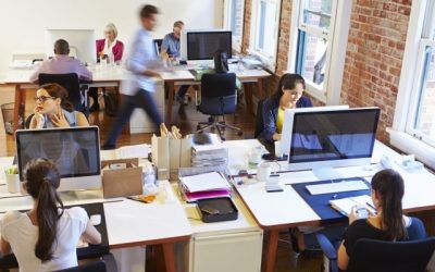 Angajații din România, la 4 zile de muncă: Ce se schimbă la salarii