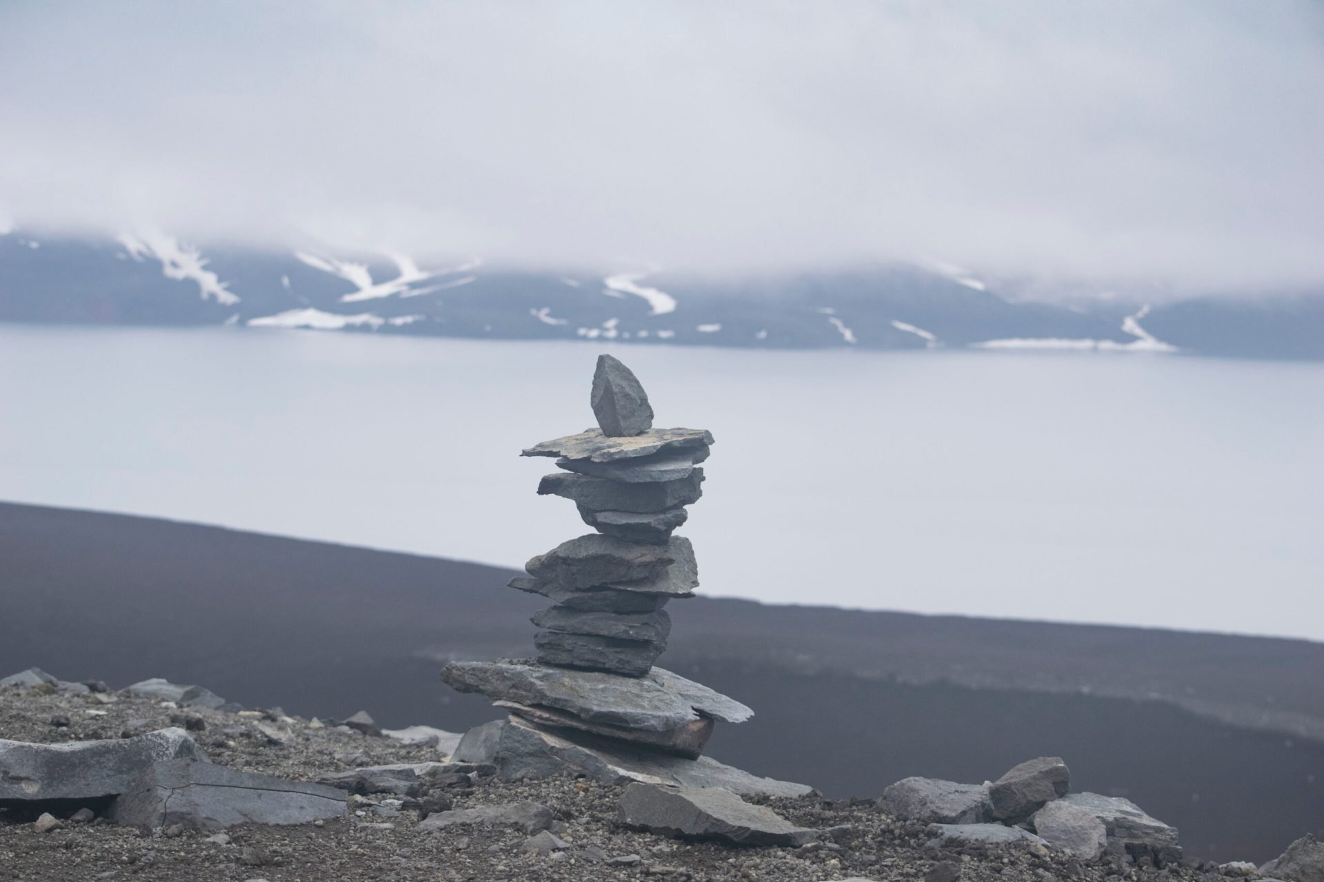 Cercetătorii chinezi au descoperit o linie genetică umană necunoscută anterior, care a supraviețuit ultimei perioade glaciare în nordul Asiei de Est și s-a adaptat la un climat mai cald