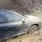 Jandarmi, eroi în noroi: Au salvat turiștii păcăliți de aplicație!