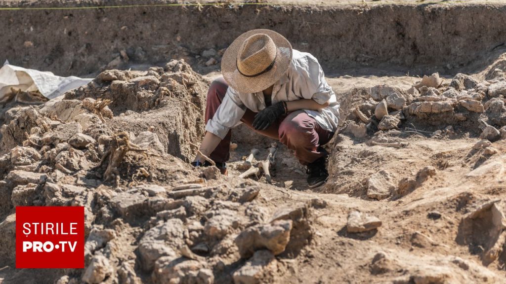 Descoperire-ȘOC în Egipt: O misiune arheologică a scos la iveală ceva UIMITOR în Minya! FOTO