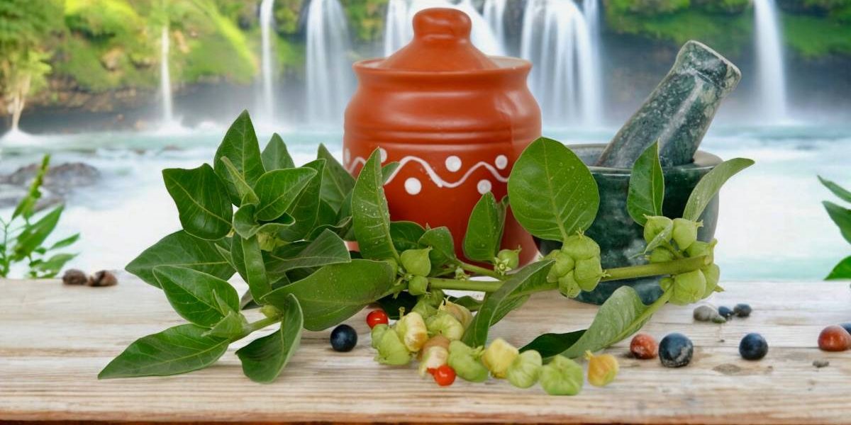 ashwagandha.jpg - StiriAlese