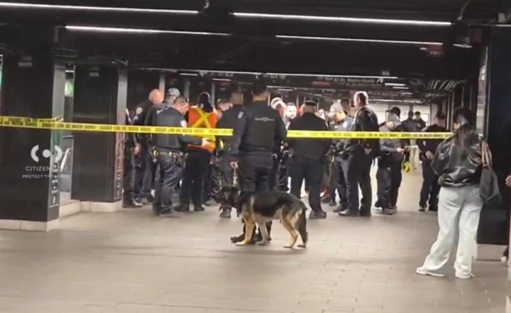 Americanul „Lucifer” a măcelărit cu maceta bătrâni în metroul din New York