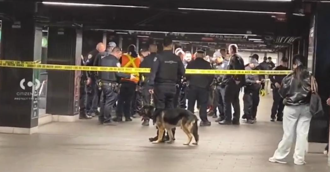 Americanul „Lucifer” a măcelărit cu maceta bătrâni în metroul din New York