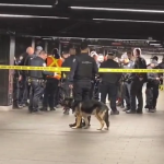 Americanul „Lucifer” a măcelărit cu maceta bătrâni în metroul din New York