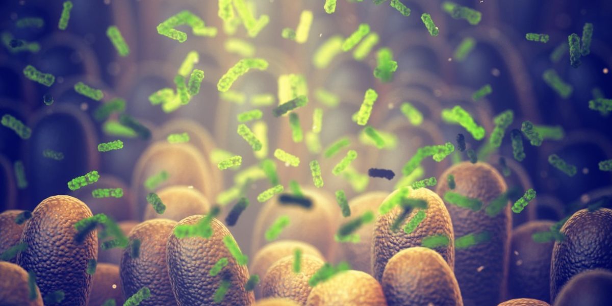 Bacterie ucigașă: Oamenii de știință au creat arma anti-cancer