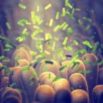 Bacterie ucigașă: Oamenii de știință au creat arma anti-cancer