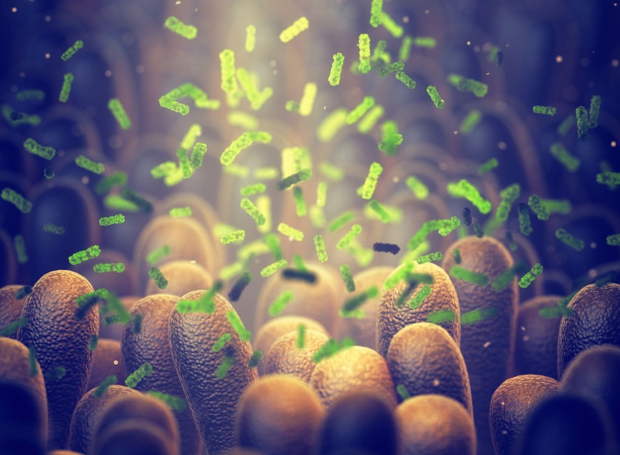 Bacterie ucigașă: Oamenii de știință au creat arma anti-cancer