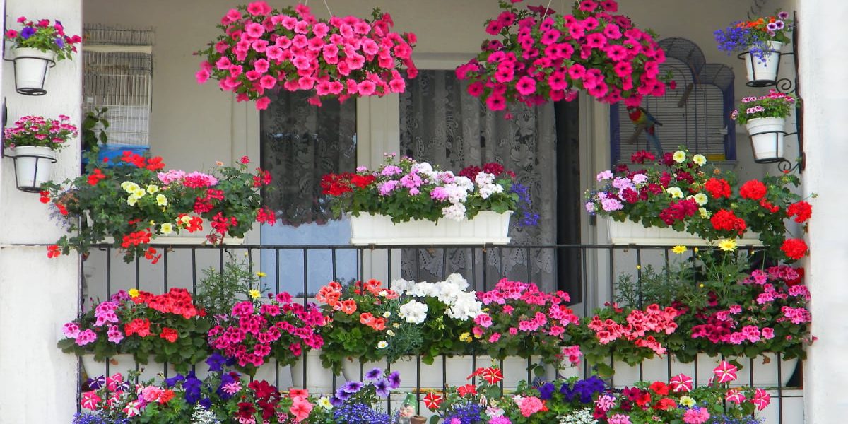 Șapte secrete pentru un balcon de vis: Transformă-l într-o oază de flori