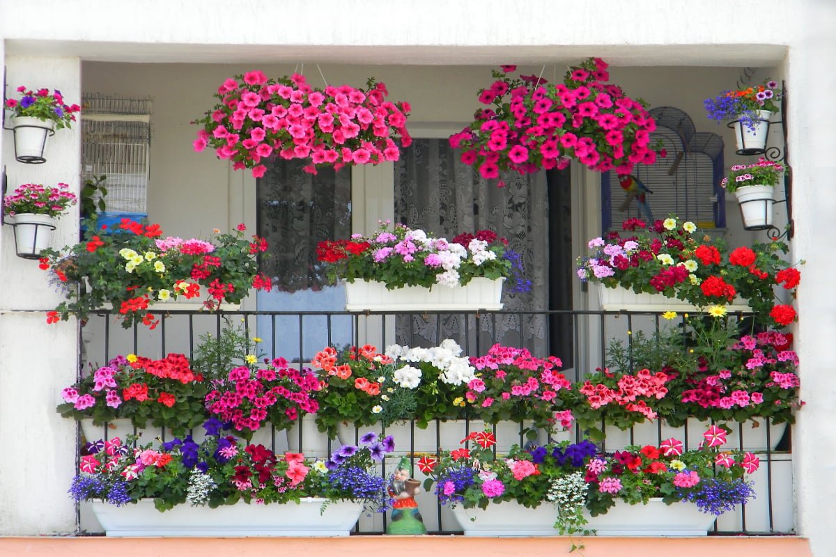 Șapte secrete pentru un balcon de vis: Transformă-l într-o oază de flori