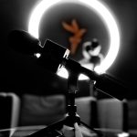 Arhiva Europa Liberă: 52.341 de povești de citit despre România