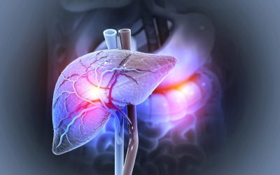 Ficat gras: 1,8 miliarde de oameni, afectați pânã în 2050