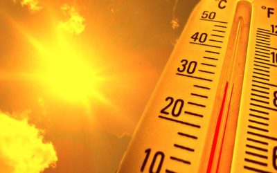 Kokushobi, coșmarul japonez: Zilele când mercurul urcă la 40 de grade