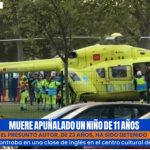 Copil român de 11 ani, ucis cu sânge rece în Spania: Mesaje sinistre