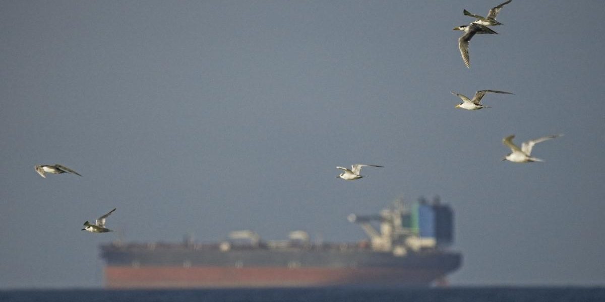 Blocadă Navală în Strâmtoarea Ormuz: Cum Ar Putea Funcționa, Pe Baze Practice