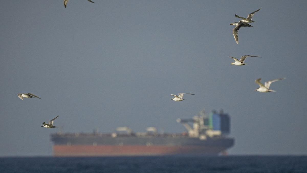 Blocadă Navală în Strâmtoarea Ormuz: Cum Ar Putea Funcționa, Pe Baze Practice