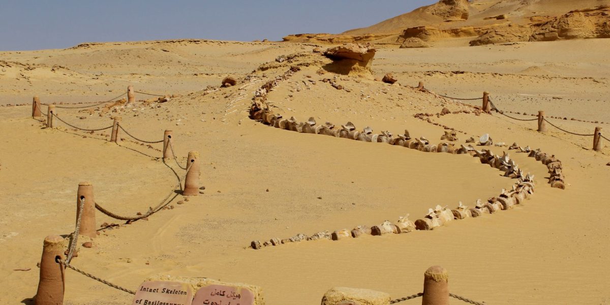 Eveniment ANTIC a prăbușit Regatul Egiptean: Ce s-a întâmplat acum 4.200 de ani