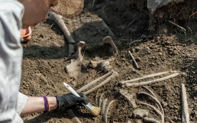 Antichitate: Un peisaj scoate la iveală urmele strămoșilor din urmă cu 100.000 de ani