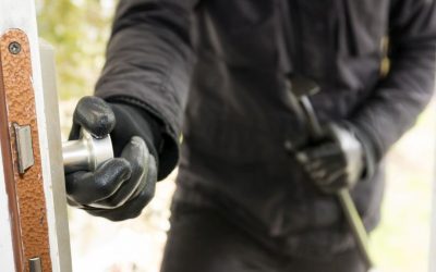 Ciudățenii incredibile: Top 6 cele mai bizare furturi din lume