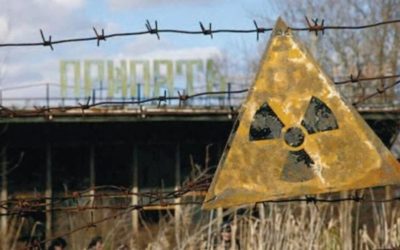 Nouă formă de viață, descoperită la Cernobîl după 40 de ani de la dezastru
