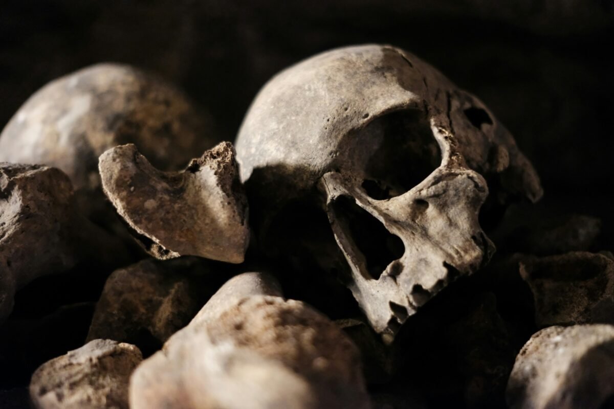 Catacombele din PARIS, un labirint subteran cu o istorie macabră, și-au redeschis porțile pentru vizitatori după o perioadă de închidere