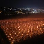 Agricultor, 40.000 de euro într-o noapte: A salvat cireșele de furia naturii