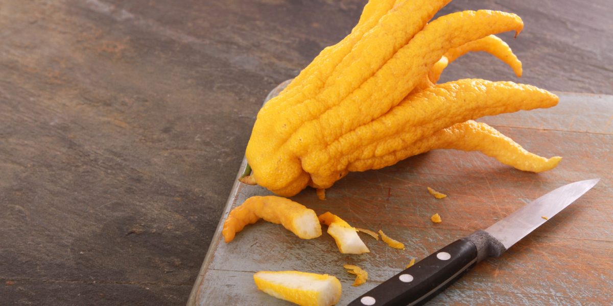 citricele-regleaza-emotiile-shutter_Descopera-scaled.jpg - StiriAlese