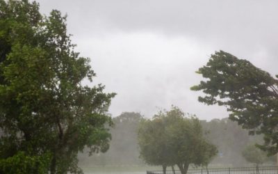 Cod galben de vânt, ploi în Nord, Centru și Est Sâmbătă. Vremea se schimbă radical