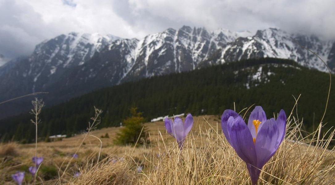 Ger cumplit în România de Paște: Vine iarna peste sărbători
