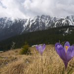 Ger cumplit în România de Paște: Vine iarna peste sărbători