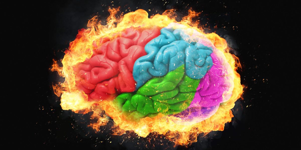 creier-lobul-frontal-shutter_Descopera-scaled.jpg - StiriAlese