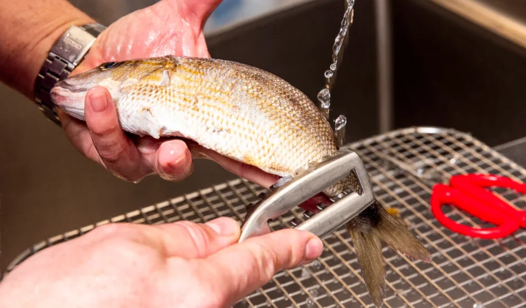 cum-sa-cureti-peste.webp.webp - StiriAlese