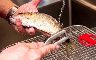 cum-sa-cureti-peste.webp.webp - StiriAlese