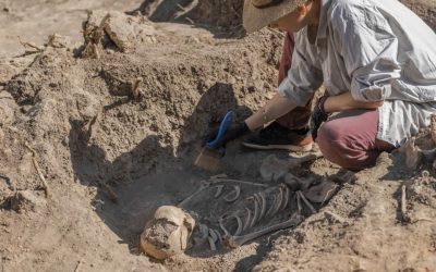 Amud 7, bebelușul Neanderthal: Creștea mai repede decât oamenii moderni