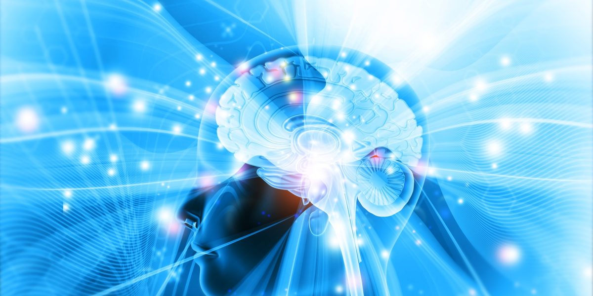 10 descoperiri despre creier care ne-au revoluționat înțelegerea minții