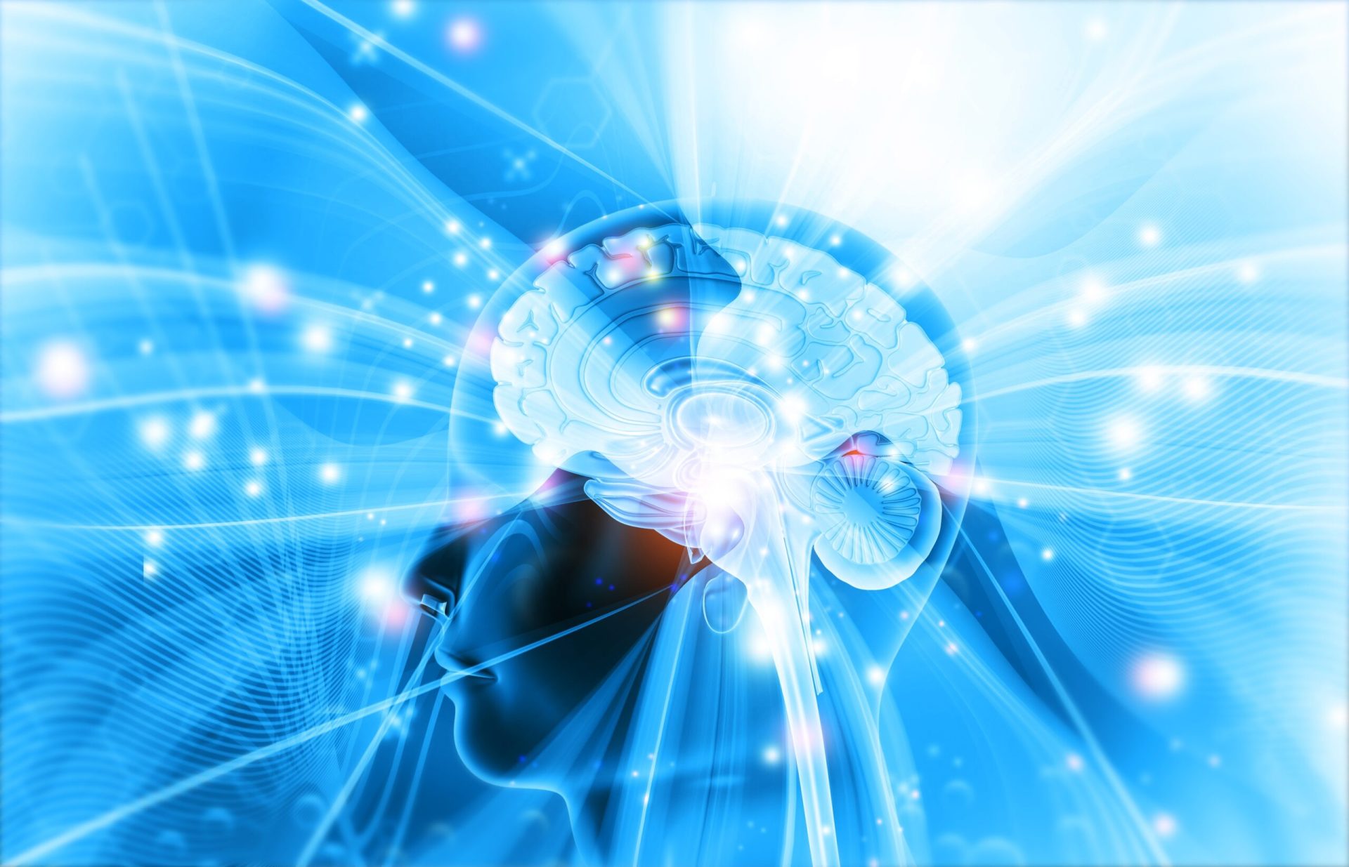 Noutățile anului 2025 în neuroștiință schimbă perspectiva asupra funcționării creierului uman Anul 2025 aduce în atenție descoperiri care schimbă fundamental modul în care înțelegem creierul uman