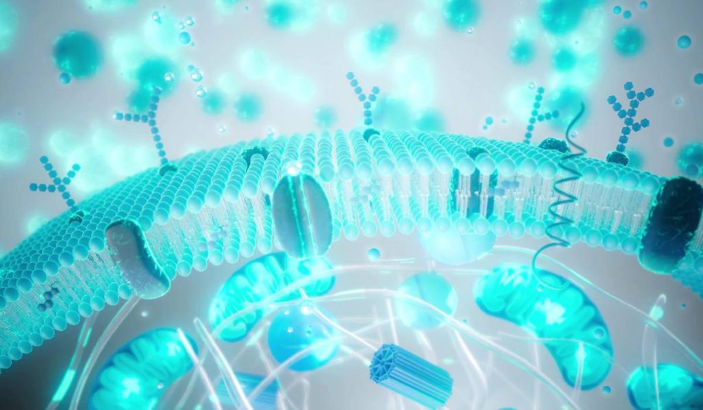 Balonare, greață, reflux după PAȘTE: Ghidul DIGESTIV de salvare!