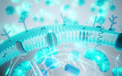 Balonare, greață, reflux după PAȘTE: Ghidul DIGESTIV de salvare!