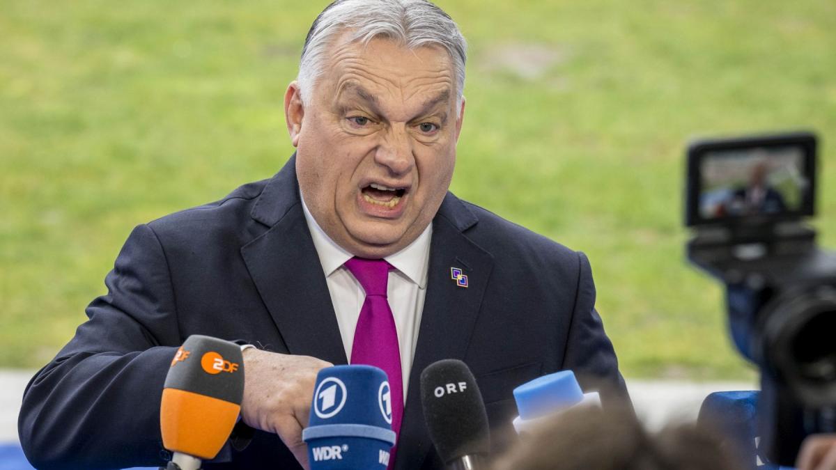 Presa lui Viktor Orban: Lunetiștii ucraineni, acuzați că vor haos în Ungaria