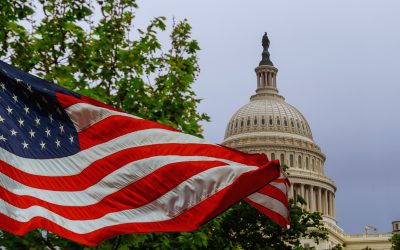 Ministrul Finanțelor, la Washington: Întâlniri la Casa Albă și FMI