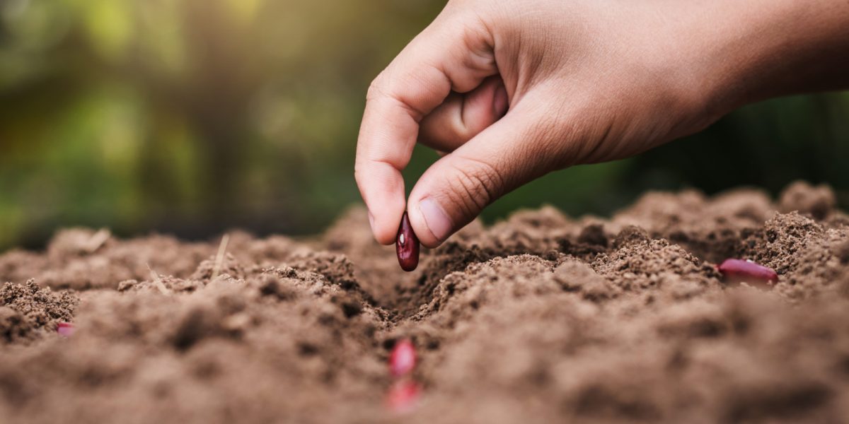 dreamstime_m_110508285.jpg - StiriAlese