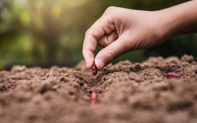 dreamstime_m_110508285.jpg - StiriAlese