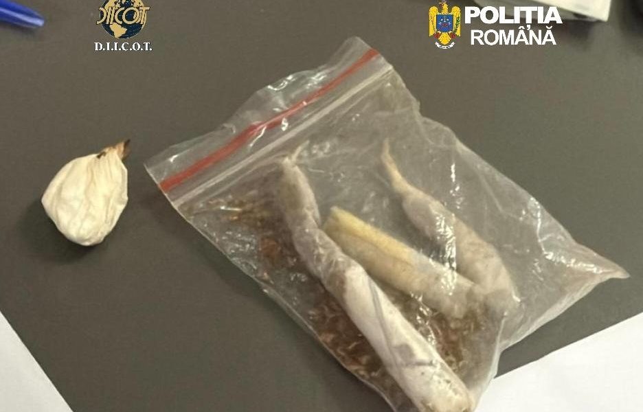 droguri-cluj.jpeg - StiriAlese