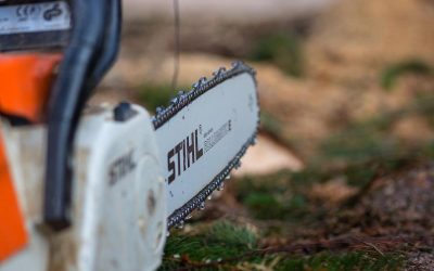 Bărbat din Alba, ucis de o drujbă: Dosar pentru ucidere din culpă