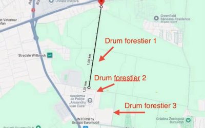 Demiteri la Romsilva: Ministra Buzoianu cere capete după scandalul Băneasa