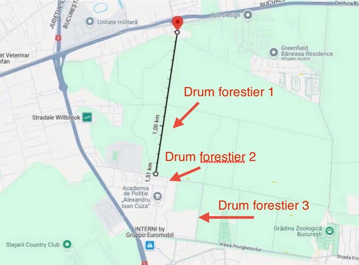 Demiteri la Romsilva: Ministra Buzoianu cere capete după scandalul Băneasa