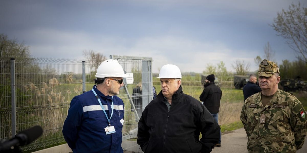 e6a756b0-0ce0-42d5-84e8-9f11d23b5fbf.jpg - StiriAlese