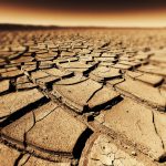 Seceleța accelerează dezvoltarea bacteriilor rezistente la antibiotice conform unui studiu alarmant