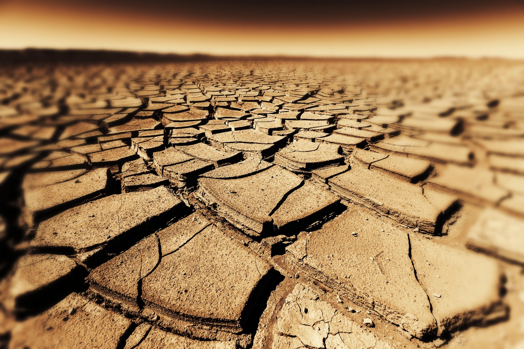 Seceta prelungită amenință să accelereze apariția bacteriilor rezistente la antibiotice Seceta extremă cauzată de schimbările climatice și lipsa precipitațiilor a dus la o creștere îngrijorătoare în ceea ce privește sănătatea publică, în special în contextul apariției bacteriilor rezistente la antibiotice