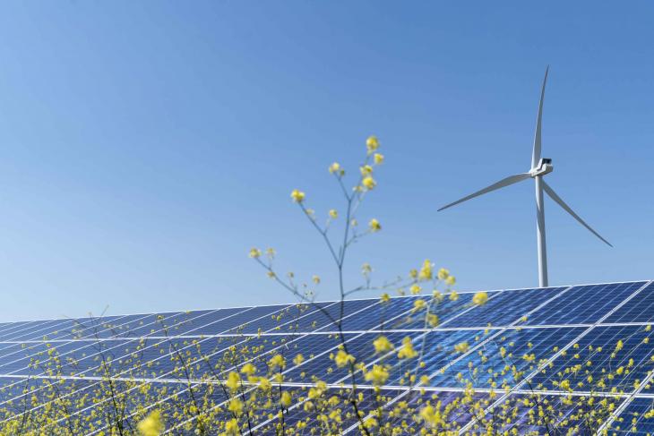eoliene-panouri-solare-EDP-Renewables-Sursa-foto-edpr.com_.jpg - StiriAlese